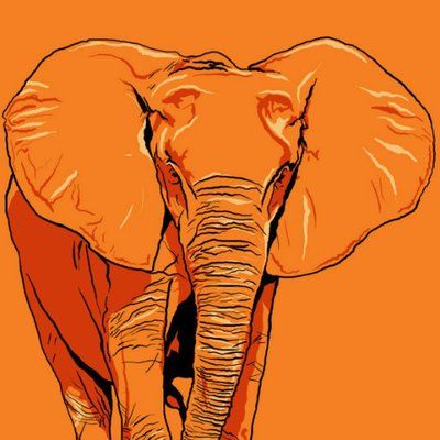 Стих Необычный слон Эдуарда Успенского из коллекции детских классиков