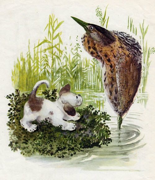 щенок приготовился прыгнуть ей на спину