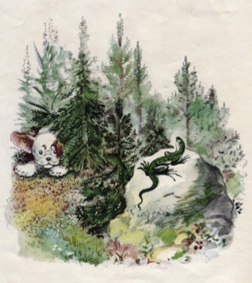 Ящерка сидела на камне